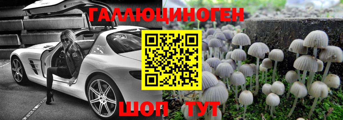 Галлюциногенные грибы ЛСД Дедовск