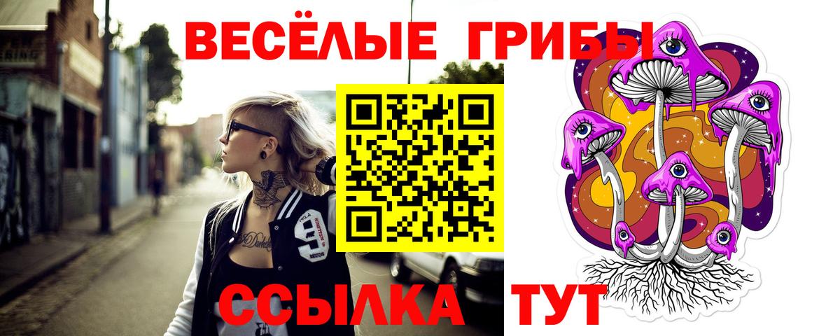 Галлюциногенные грибы Magic Shrooms  Псилоцибиновые грибы MAGIC MUSHROOMS  Вход с VPN  Дедовск 